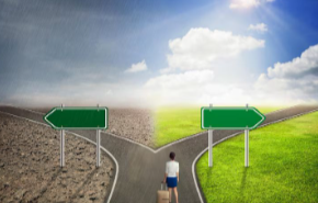 Самоподготовка 12. Пътечки, Леда Милева