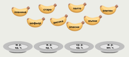 Урок 154. Съгласуване на прилагателно и съществително име